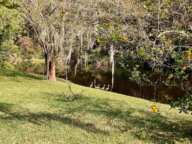 5154 Cypress Links Blvd., Elkton, FL 32033