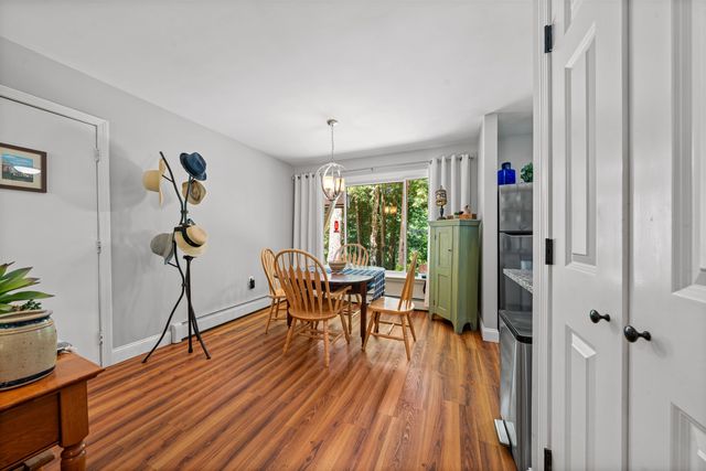 151 New Hampshire Drive, Webster, NH 03303