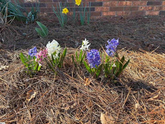 340 Ferndale Drive, Spartanburg, SC 29316