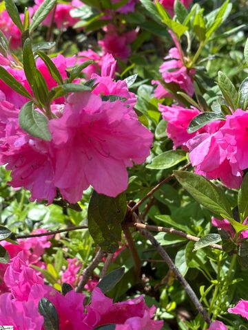 340 Ferndale Drive, Spartanburg, SC 29316