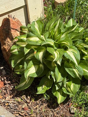 340 Ferndale Drive, Spartanburg, SC 29316