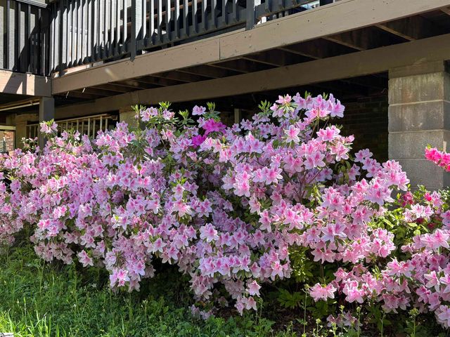 340 Ferndale Drive, Spartanburg, SC 29316