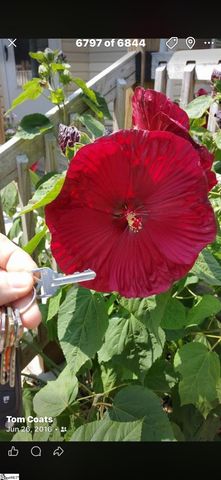 340 Ferndale Drive, Spartanburg, SC 29316