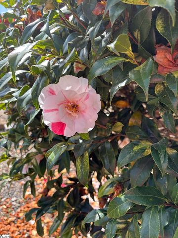 340 Ferndale Drive, Spartanburg, SC 29316