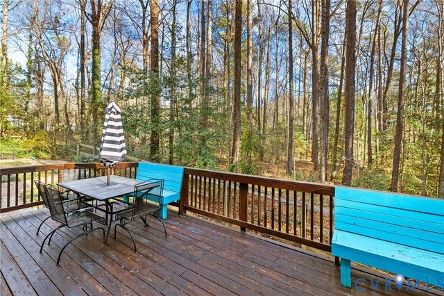 14202 Cove Ridge Ct, Midlothian, VA 23112