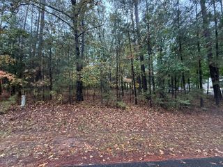 Lot 11 Blk Brassie Dr, Mc Cormick, SC 29835