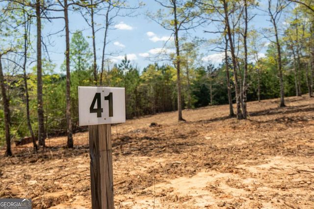 LOT 41 Sandy Lake Lane, Blairsville, GA 30512