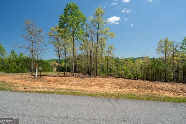 LOT 41 Sandy Lake Lane, Blairsville, GA 30512