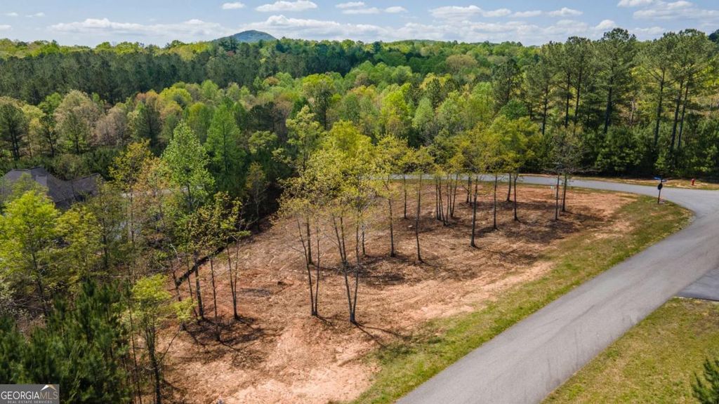 LOT 41 Sandy Lake Lane, Blairsville, GA 30512