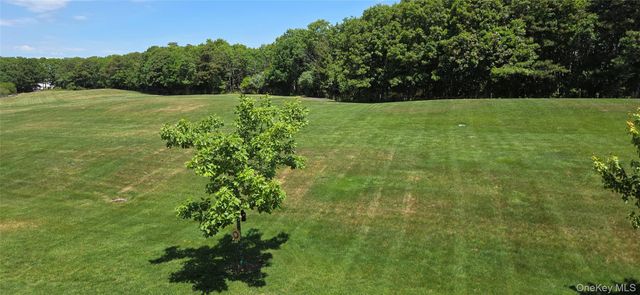 22 Cricket Court, Shirley, NY 11967