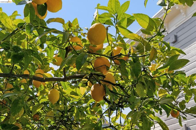 1655 12th Street, Oakland, CA 94607