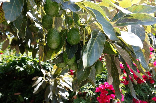 1655 12th Street, Oakland, CA 94607