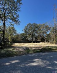 308 Carroll St, Denham Springs, LA 70726