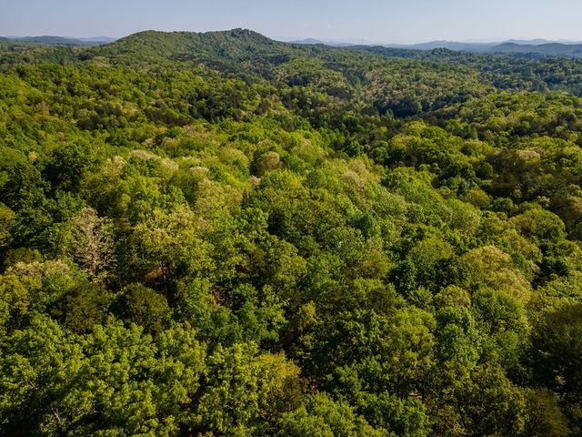 31 Eagle Feather Drive, Cherry Log, GA 30522