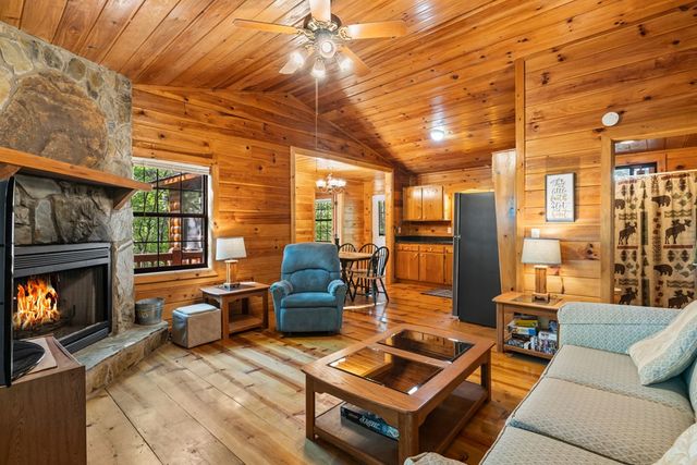 31 Eagle Feather Drive, Cherry Log, GA 30522