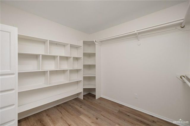 3503 San Esteban Street, Mission, TX 78572