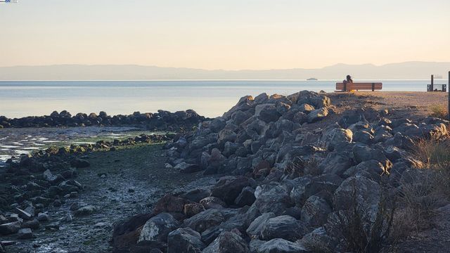 1321 Webster St D119, Alameda, CA 94501