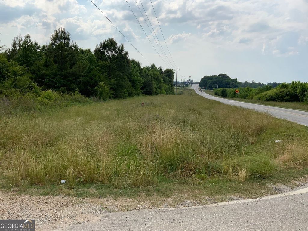 0 Owl Hollow Road, Carnesville, GA 30521 — exterior