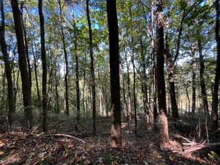 0 Senators Run, Pikeville, TN 37367