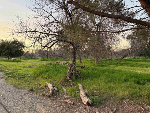 1384 Buckhorn Creek Rd, Livermore, CA 94550