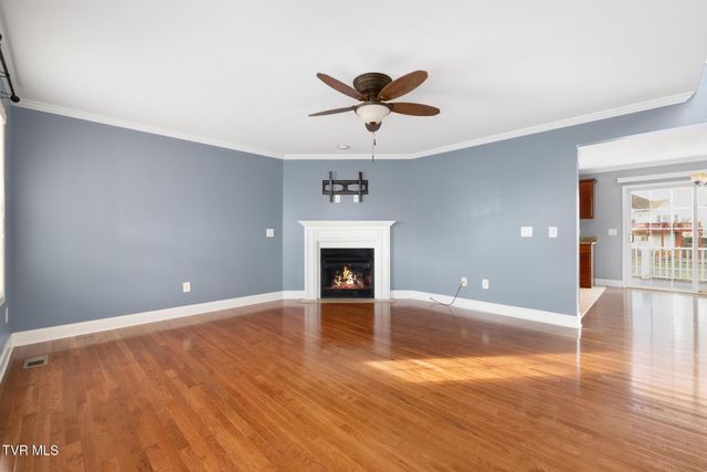 63 Creek View Court, Gray, TN 37615