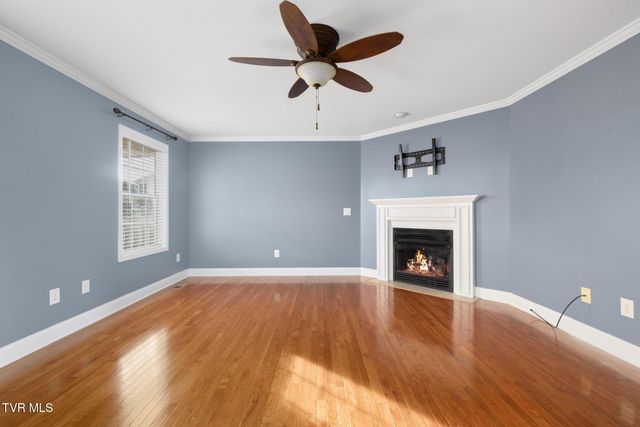 63 Creek View Court, Gray, TN 37615