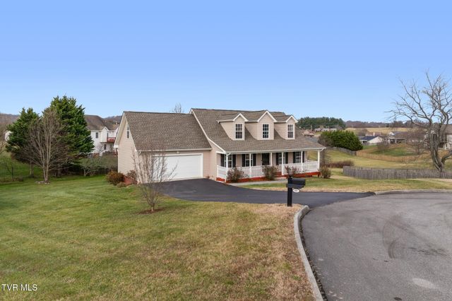 63 Creek View Court, Gray, TN 37615