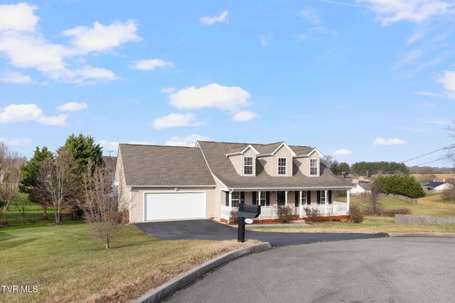 63 Creek View Court, Gray, TN 37615