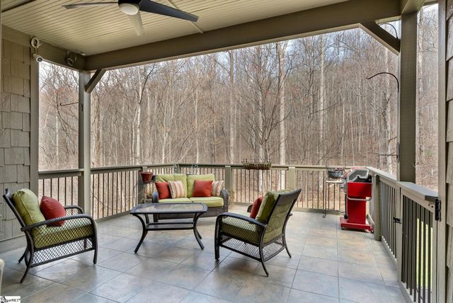 6 Goldeneye Court, Landrum, SC 29356