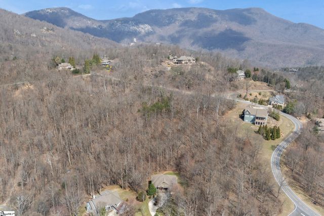 6 Goldeneye Court, Landrum, SC 29356