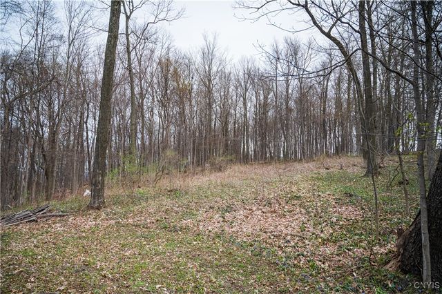 00 Brewer Road, Lincoln, NY 13421