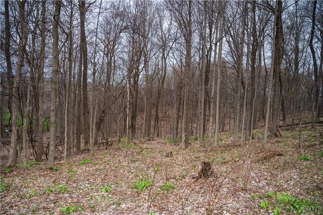 00 Brewer Road, Lincoln, NY 13421