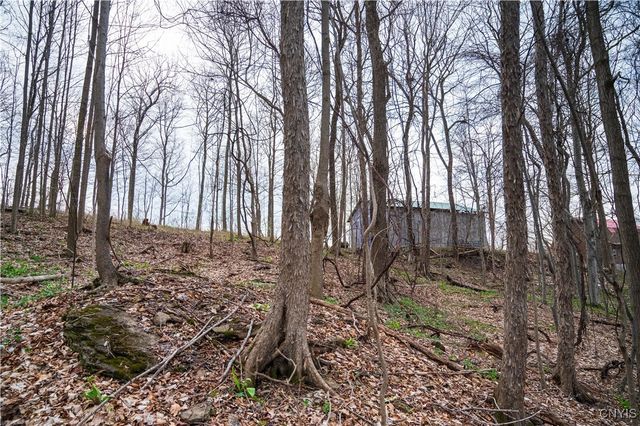 00 Brewer Road, Lincoln, NY 13421