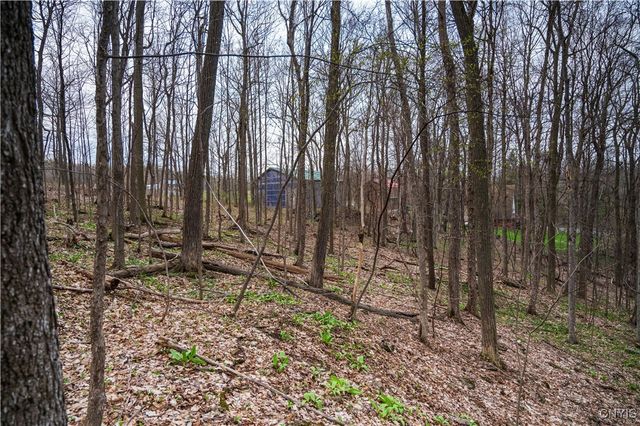 00 Brewer Road, Lincoln, NY 13421