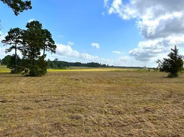 Lot 85 Lakeland Loop, Hillister, TX 77624