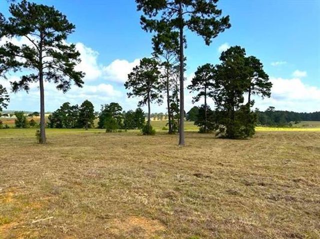 Lot 85 Lakeland Loop, Hillister, TX 77624
