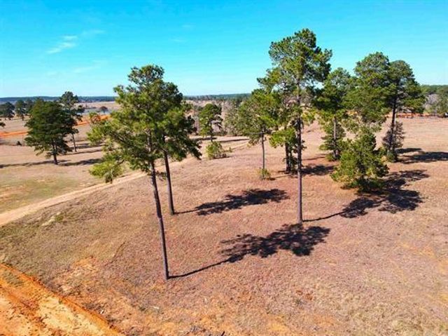 Lot 85 Lakeland Loop, Hillister, TX 77624