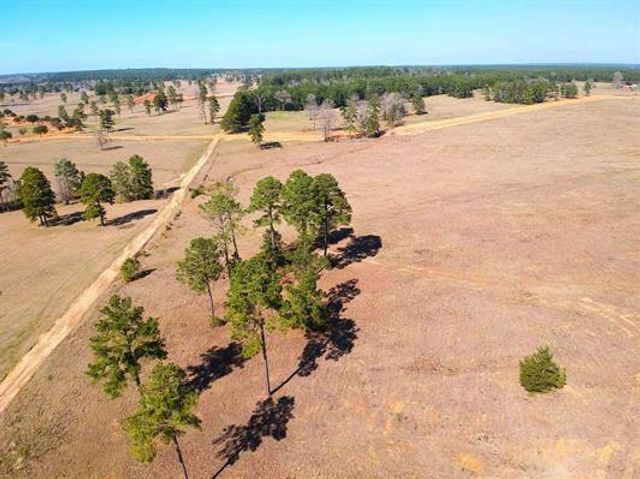 Lot 85 Lakeland Loop, Hillister, TX 77624