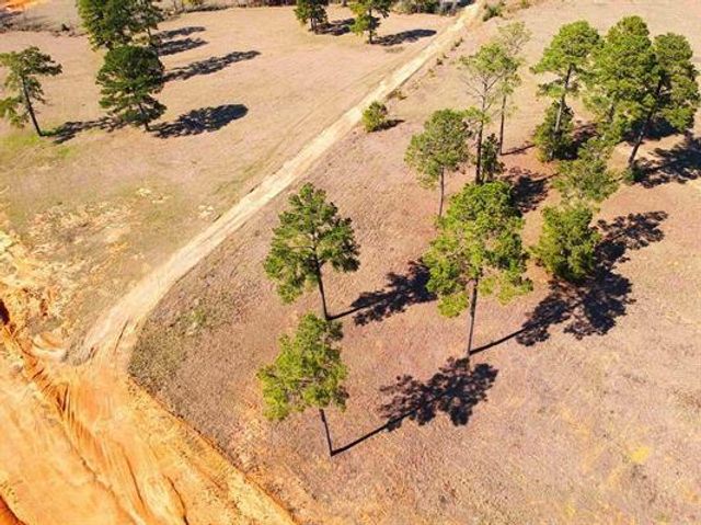 Lot 85 Lakeland Loop, Hillister, TX 77624