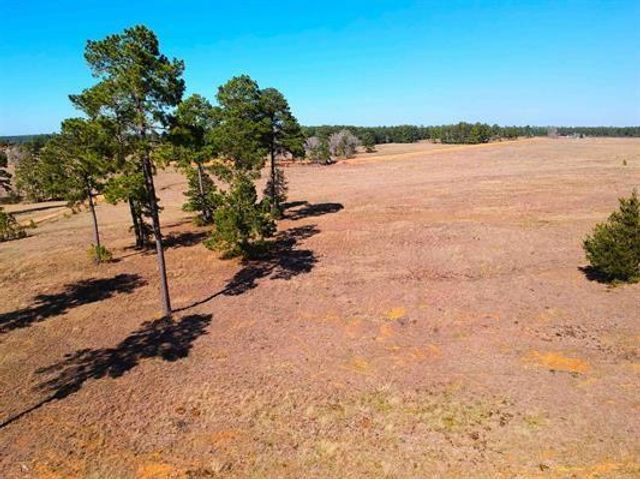 Lot 85 Lakeland Loop, Hillister, TX 77624