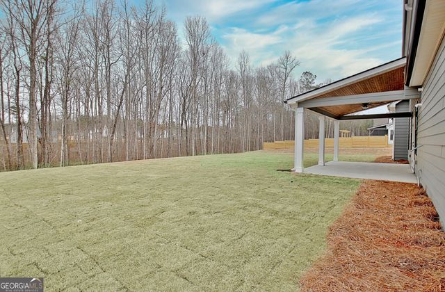 157 Ryeland Drive, Senoia, GA 30276