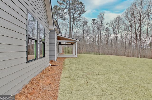 157 Ryeland Drive, Senoia, GA 30276