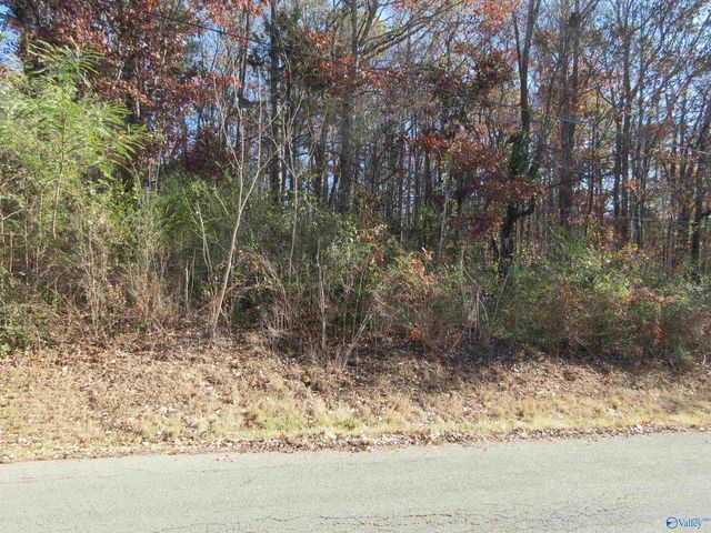 27 Sumner Drive, Scottsboro, AL 35769