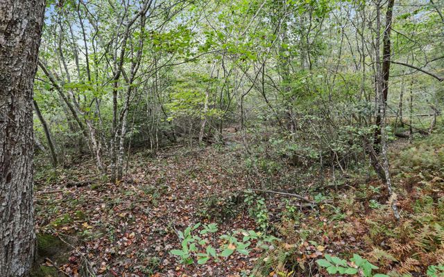 1955 Cavender Gap Road, Suches, GA 30572