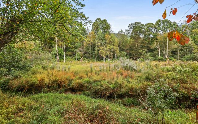 1955 Cavender Gap Road, Suches, GA 30572