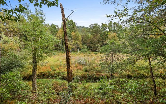 1955 Cavender Gap Road, Suches, GA 30572