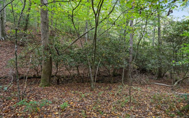 1955 Cavender Gap Road, Suches, GA 30572