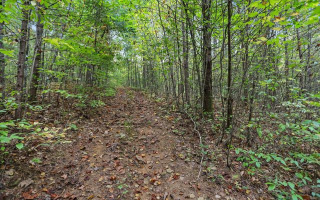 1955 Cavender Gap Road, Suches, GA 30572