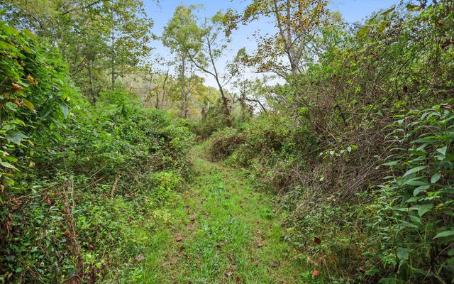 1955 Cavender Gap Road, Suches, GA 30572