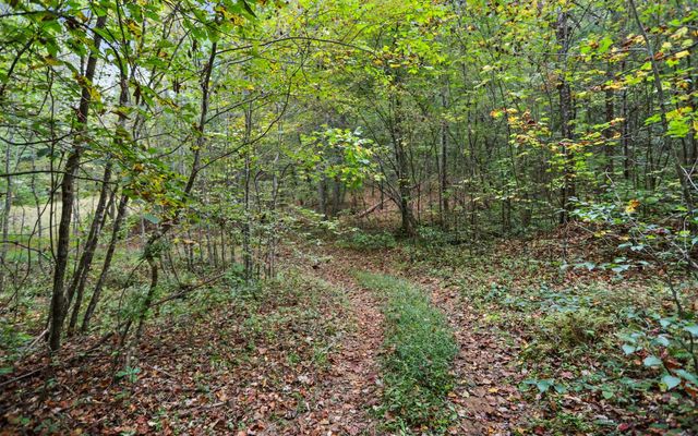 1955 Cavender Gap Road, Suches, GA 30572